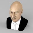 professor-x-charles-xavier-bust-ready-for-full-color-3d-printing-3d-model-obj-mtl-fbx-stl-wrl-wrz-1.jpg Professor X Charles Xavier from X-Men bust full color 3D printing