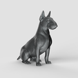 bullteriersit.795.png 3D Model STL  file  Bull Terrier Sit