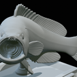 White-grouper-open-mouth-1-52.png fish white grouper / Epinephelus aeneus trophy statue detailed texture for 3d printing