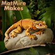 Painted-0045-copy.jpg Crested Gecko Articulated Toy, Print-In-Place Body, Snap-Fit Head, Cute Flexi