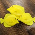 fce5ee01-7bda-4a03-ab61-a892f32ee4f6.jpg Yellow Tang Fish Decoy