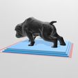 bulldog-memorial-digital-stl-1-3d-printable-dog-3d-model-3d-model-b875e307a2.jpg Bulldog Memorial Digital STL 1 3d Printable Dog 3D Model 3D print model