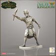 release_command_3.jpg 28mm Pharaoh and New Kingdom officers