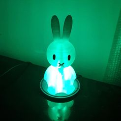 20210316_2312382.jpg Rabbit lamp