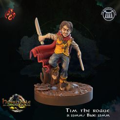 Tim-the-rogue.jpg 3D file Tim the Rogue・3D printer design to download