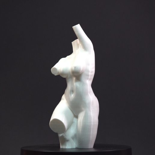 👩 Torso・ STL File for 3D printing・Cults