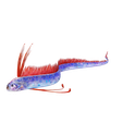 00.png DOWNLOAD Hairtail DOWNLOAD FISH DINOSAUR DINOSAUR Hairtail FISH 3D MODEL ANIMATED - BLENDER - 3DS MAX - CINEMA 4D - FBX - MAYA - UNITY - UNREAL - OBJ -  Hairtail FISH DINOSAUR