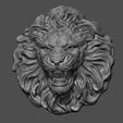 27.jpg Lion Head