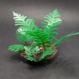 20230916_085106.jpg FDM Plants (like laser-cut plants)