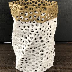 fullsizeoutput_2af.jpeg Free STL file vronoi pot・3D print model to download