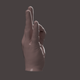 5.png HUMAN HAND SCANED 2