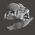 dilophos cranium123.jpg STL file Dilophosaurus dinosaur skull・3D print design to download