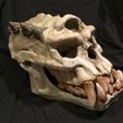 IMG_0282.JPG Troll Skull