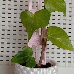 455b8290-3b62-476d-b42e-eecd9fc3dfe4.jpg bubble pot/bubble pot