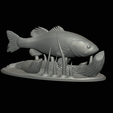 bass-na-podstavci-17.png bass 2.0 underwater statue detailed texture for 3d printing