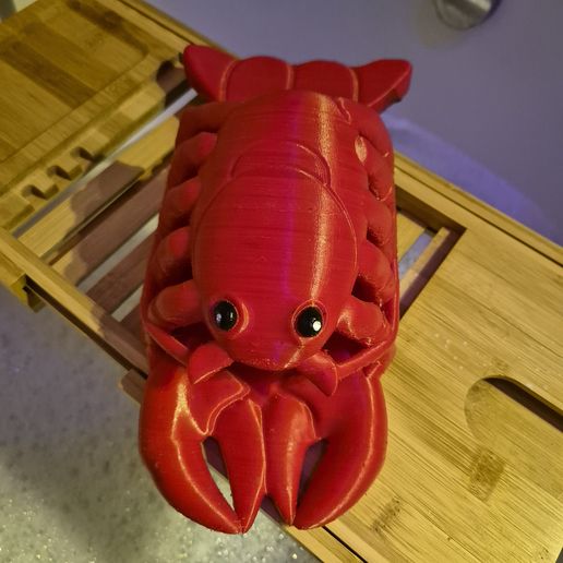 20240707_214336.jpg LOBSTER FLIP FLOPS