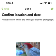IMG_7699.png Wifi камера (Wyze v3) Кормушка для птиц