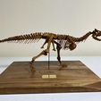received_943499417221251.jpeg Carnotosaurus skeleton