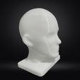 IMG_3675.jpg Head Human - Human Head Mannequin