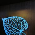 84b5e7c5-8a0c-4538-be82-401a37a6ad58.jpg Linden leaf / lipový list voronoi wall or table decoration