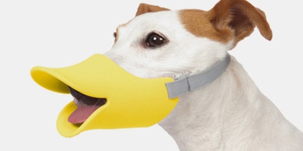 Вот подборка лучших 3D-моделей, связанных с домашними животными, которые можно сделать с помощью 3D-принтера