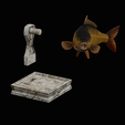 common-carp-trophy-2-2-1-19.png COMMON CARP (CYPRINUS CARPIO) fish in motion trophy statue detailed texture for 3d printing