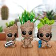 Groot-Pot00.jpg Грут Пот
