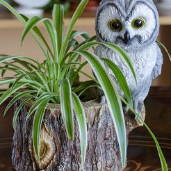 Owl-1.jpg Owl themed planter/desk organizer/item holder