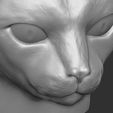 16.jpg Abyssinian cat head for 3D printing