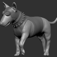 Screenshot-2024-12-21-140100.png Bull Terrier