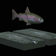 Am-bait-trout-breaking-16cm-5mm-oci-13mm-nalev-5.png AM bait fish rainbow trout 16cm breaking model / form for predator fishing