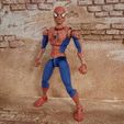IMG_20230530_134146_266.jpg Spider-Man: Friend or Foe Complete Action Figure