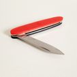 4.jpg Victorinox Swiss knife Scales
