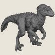 Snow-Raptor-Dinosaur-06.jpg Snow Raptor Dinosaur