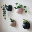 original_indoor-wall-plant-pots.jpg Wall Planters