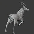 stag 2.png Stag Trophy