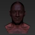 22.jpg Vin Diesel bust ready for full color 3D printing