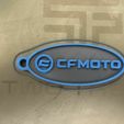IMG_5394.jpg CF Moto Keyring