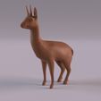 Klipspringer_0008.jpg Wildlife animals