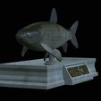 Grass-carp-statue-6.png fish grass carp / Ctenopharyngodon idella statue detailed texture for 3d printing