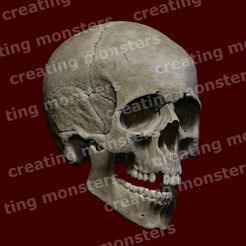 eric-valeck-1-skull-color.jpg Skull - Skull STL