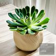 DOLCE-planter_top.jpg DOLCE | Maceta de interior