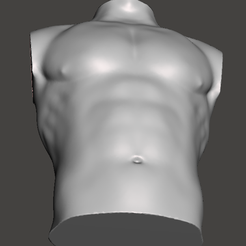 Abdomen.png STL file Abdomen・3D printable model to download