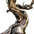 3ddd2.jpg Ornemental Rustique torsadé arbre sec branches noueuses modèle 3D