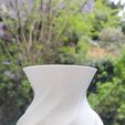 20230410_124901.jpg Vase