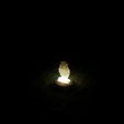IMG_20180403_155653.jpg Owl LED Lamp