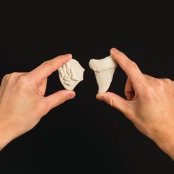 FOSSILS_1_display_large.jpg Fichier OBJ gratuit Projet : Fabriquer des fossiles avec Sculptris・Plan pour impression 3D à télécharger