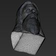 28.jpg 3D file Dumbledore from Harry Potter bust for full color 3D printing・Model to download and 3D print