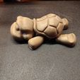 tortue flexible