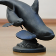 005.png Orca and Calf